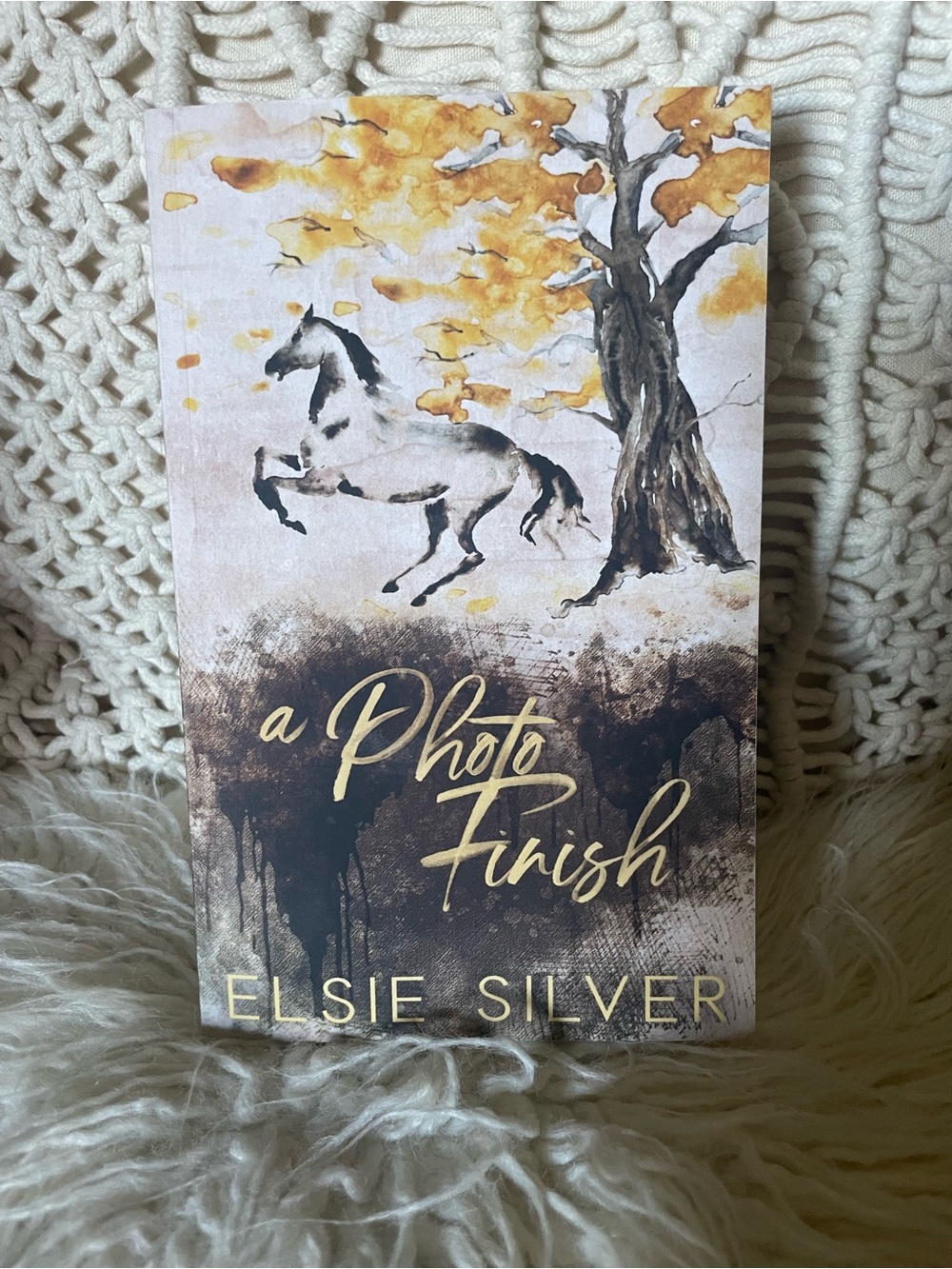OOP Elsie Silver A Photo Finish Book